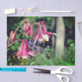 Roze Columbine Flowers Close Up Decoupage Tissuepapier (Craft)