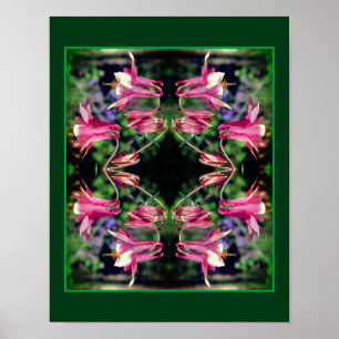 Roze Columbine Flowers Sluit Abstract op Poster