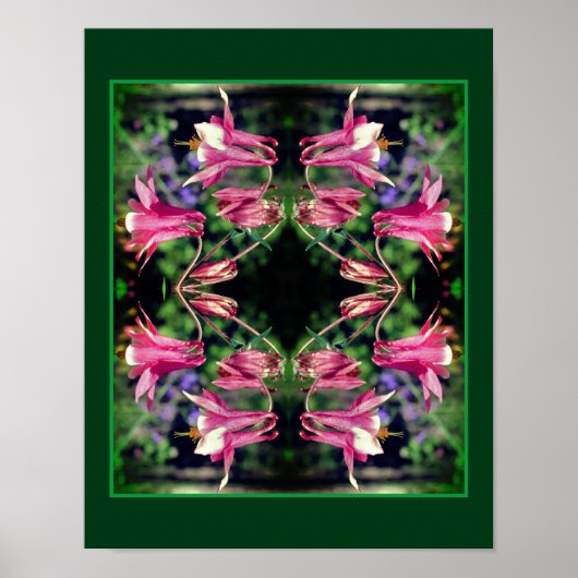 Roze Columbine Flowers Sluit Abstract op Poster (Voorkant)