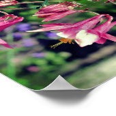 Roze Columbine Flowers Sluit Abstract op Poster (Hoek)