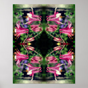 Roze Columbine Flowers Sluit Abstract op Poster