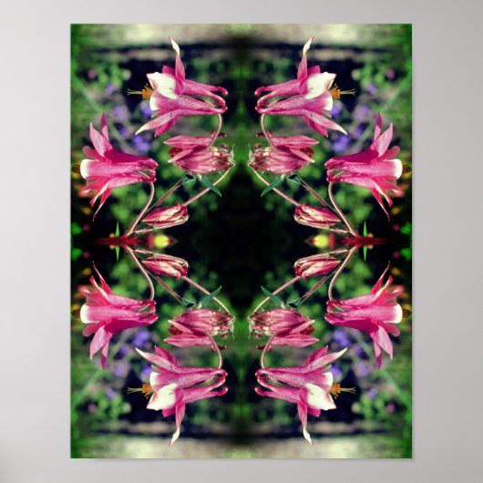 Roze Columbine Flowers Sluit Abstract op Poster (Voorkant)