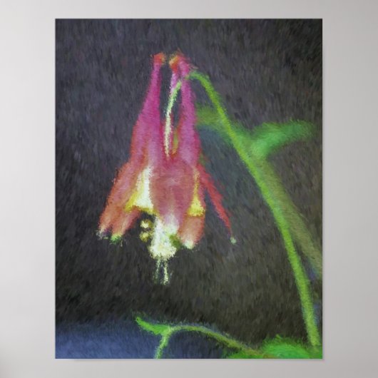 Roze Columbine Impressionist Flower Art Poster (Voorkant)