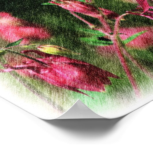 Roze Columbine Kleur Potlood Bloem Art Poster (Hoek)