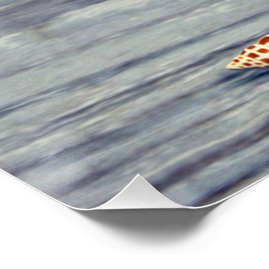 Roze conch Junonia Seashell Fotografie Perfect Poster (Hoek)
