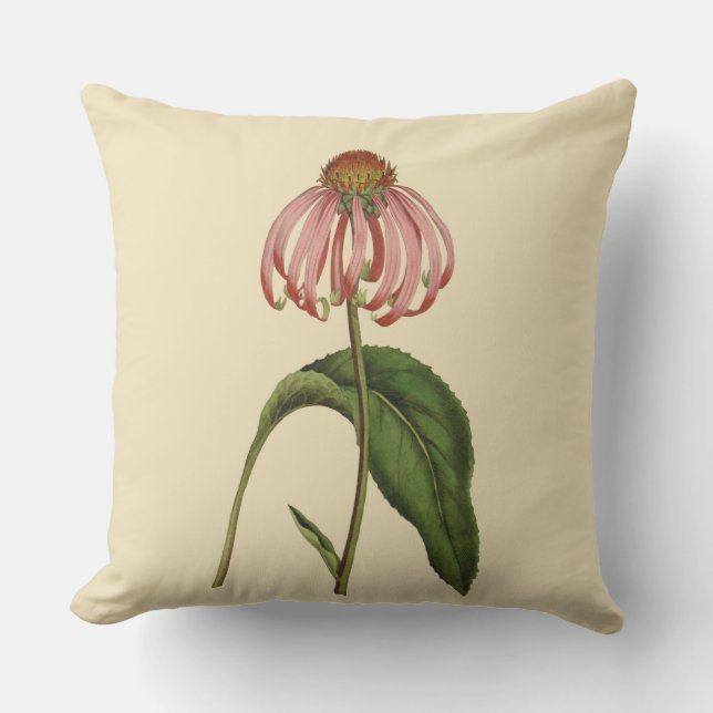 Roze Coneflower Botanical Outdoor Pillow 20 x 20 i Buitenkussen (Voorkant)