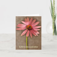 Roze Coneflower Echinacea purpurea Dank u wel