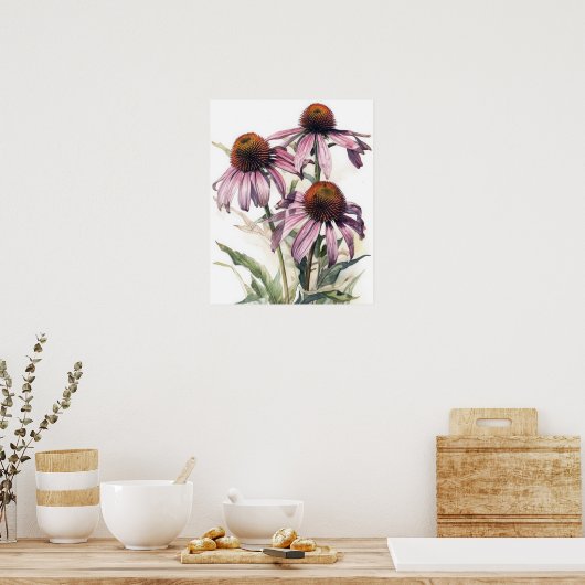 Roze Coneflower Flowers Art Print Poster (Keuken)