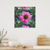 roze coneflower poster (Keuken)
