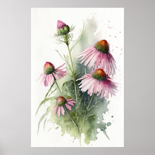 Roze Coneflowers Art Print Poster (Voorkant)