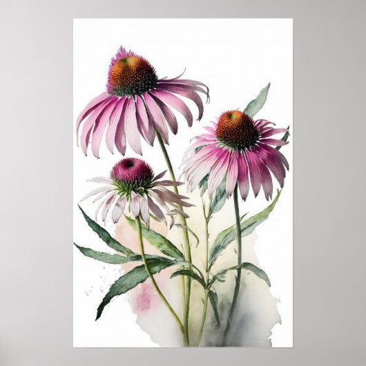 Roze Coneflowers Art Print Poster (Voorkant)
