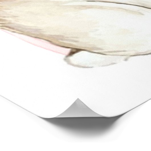 Roze Coquett Peter het Konijn Verjaardagskaarten C Poster (Hoek)