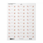 Roze Coquette Koets Baby Shower Adreslabel Etiket (Full Sheet)