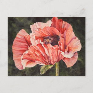 Roze corn Poppy All Occasion Waterverf Briefkaart