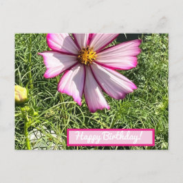 Roze Cosmo-bloemkaart, Happy Birthday Briefkaart