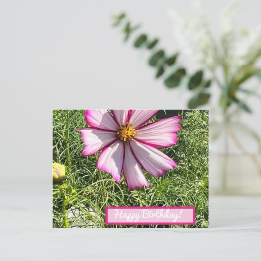 Roze Cosmo-bloemkaart, Happy Birthday Briefkaart (Staand voorkant)