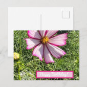 Roze Cosmo-bloemkaart, Happy Birthday Briefkaart (Voorkant / Achterkant)
