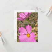 Roze Cosmo Flowers Summer Garden Fotografie Kaart (Voorkant / Achterkant in situ)