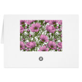 Roze Cosmos bloemen (Achterkant Horizontaal)