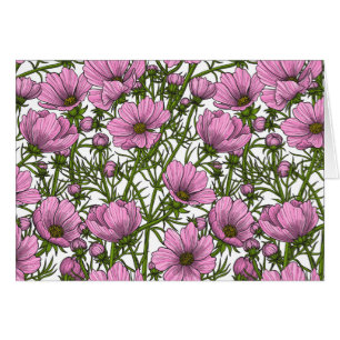 Roze Cosmos bloemen