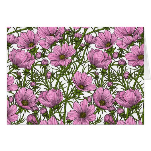 Roze Cosmos bloemen (Voorkant Horizontaal)