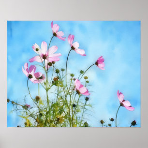 Roze Cosmos Bloemen Bloemenkunst Poster