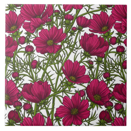 Roze Cosmos bloemen Tegeltje (Voorkant)