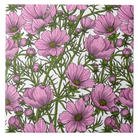 Roze Cosmos bloemen Tegeltje (Voorkant)