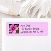 Roze Cosmos Bloemen Wilde Bloem Etiket (Insitu)