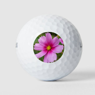 Roze Cosmos Bloemen Wilde Bloem Golfballen