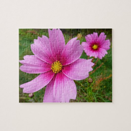 Roze Cosmos Bloemen Wilde Bloem Legpuzzel (Horizontaal)