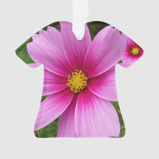 Roze Cosmos Bloemen Wilde Bloem Ornament (voorkant)