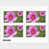 Roze Cosmos Bloemen Wilde Bloem Rechthoekige Sticker (Vel)