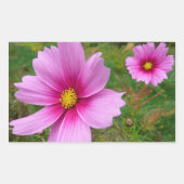 Roze Cosmos Bloemen Wilde Bloem Rechthoekige Sticker (Voorkant)
