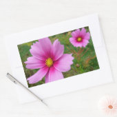 Roze Cosmos Bloemen Wilde Bloem Rechthoekige Sticker (Envelop)