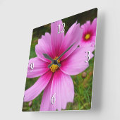 Roze Cosmos Bloemen Wilde Bloem Vierkante Klok (Hoek)