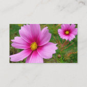 Roze Cosmos Bloemen Wilde Bloem Visitekaartje (Achterkant)