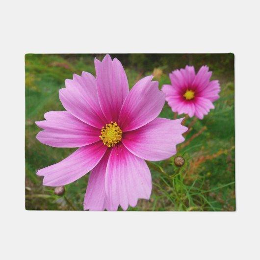 Roze Cosmos Bloemen Wilde Bloemen Deurmat (Voorkant)