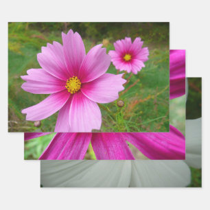 Roze Cosmos Bloemen Wilde Bloemen Inpakpapier Vel