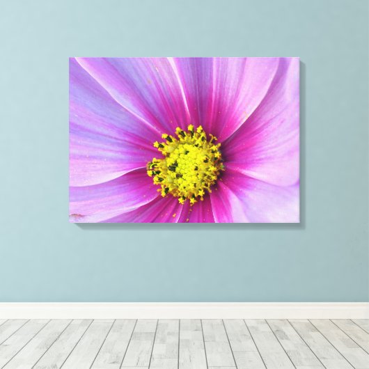 Roze Cosmos Canvas Afdruk (Insitu (Houten vloer))