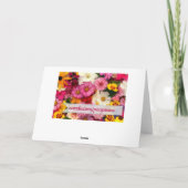 roze cosmos - kaart (Achterkant)