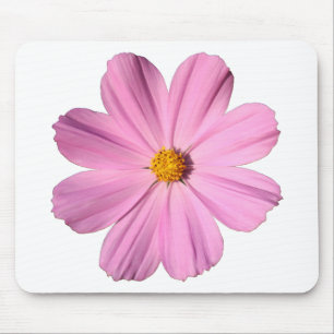 Roze Cosmos Muismat
