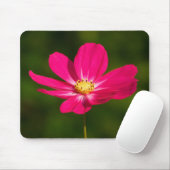 Roze Cosmos Muismat (Met muis)
