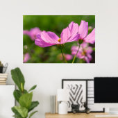 Roze Cosmos Poster (Thuiskantoor)