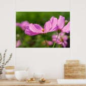 Roze Cosmos Poster (Keuken)