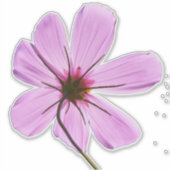 Roze Cosmos Sticker (Voorkant)