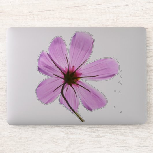 Roze Cosmos Sticker (Computer)