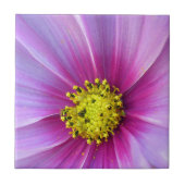 Roze Cosmos Tegeltje (Voorkant)