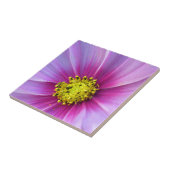 Roze Cosmos Tegeltje (Zijkant)
