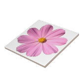 Roze Cosmos Tegeltje (Zijkant)
